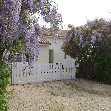 Studio De Apartament *